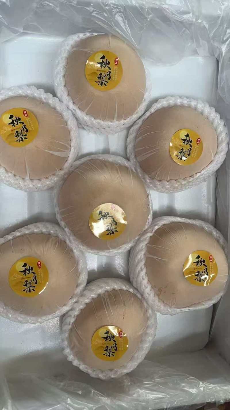 【一件代发】河北秋月梨脆甜无渣支持批发商超欢迎来电
