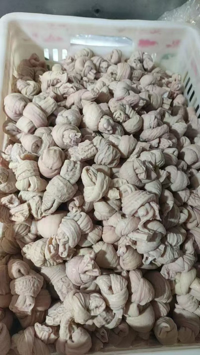 小肠节