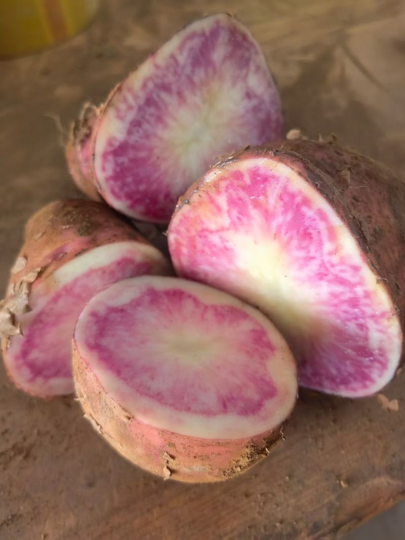 云南七彩土豆大量供货