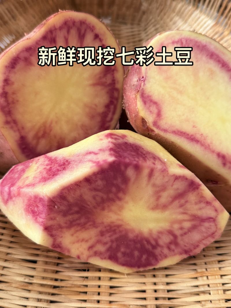 云南七彩土豆大量供货