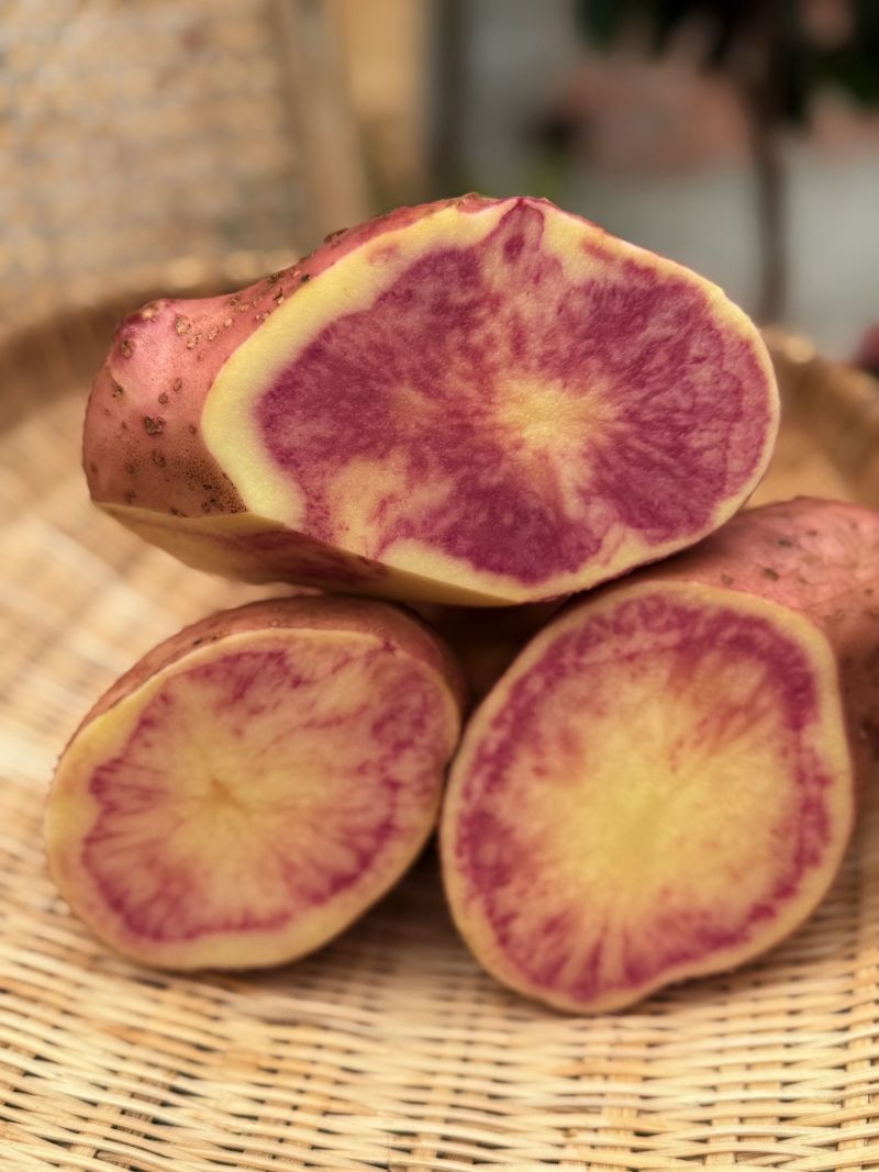 云南七彩土豆大量供货