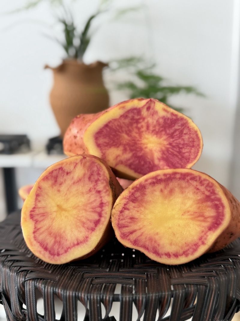 云南七彩土豆大量供货