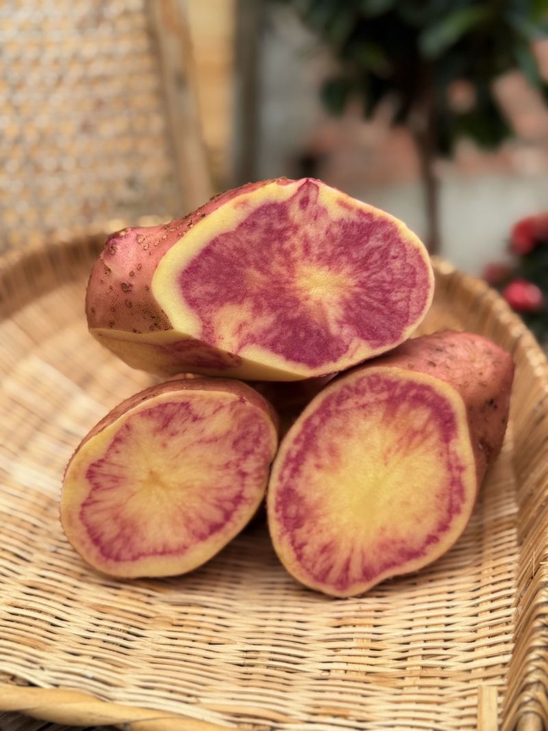云南七彩土豆大量供货