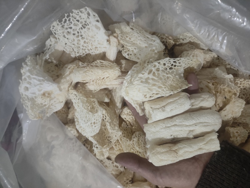 红托竹荪干品