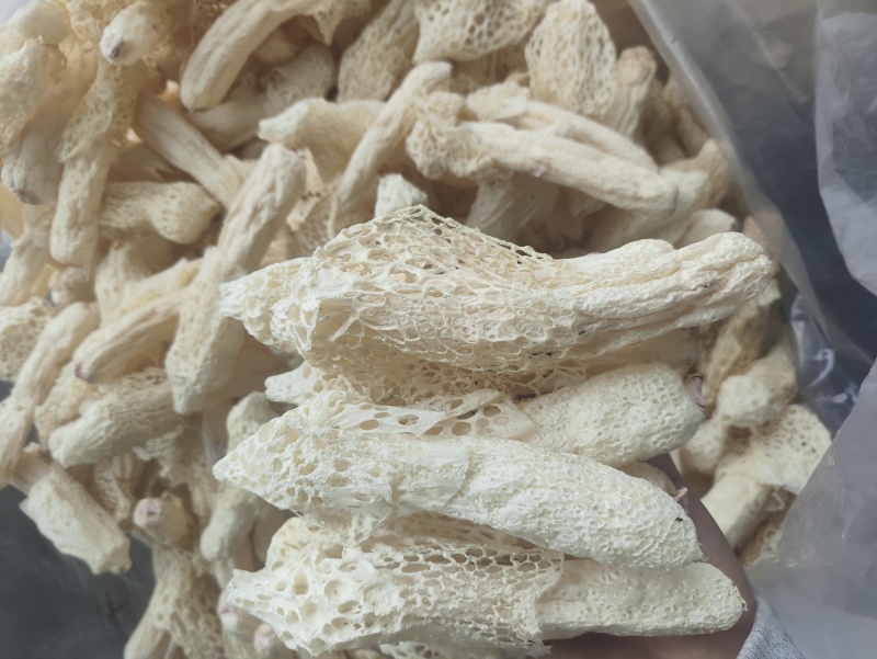 红托竹荪干品