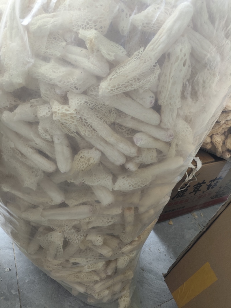 红托竹荪干品