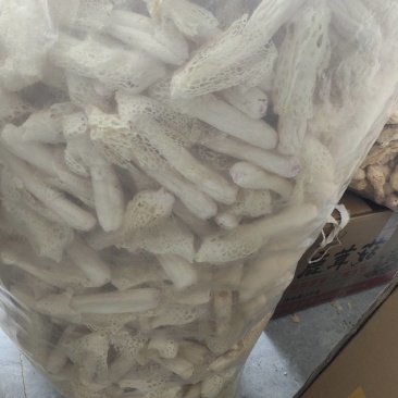 红托竹荪干品