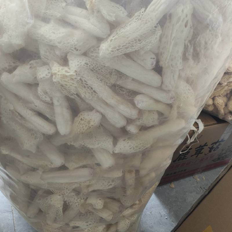 红托竹荪干品