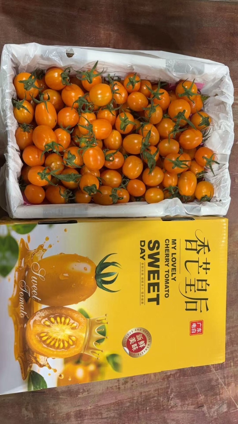 香芒皇后千喜皇冠圣女果产地供应链欢迎团购前来合作共赢
