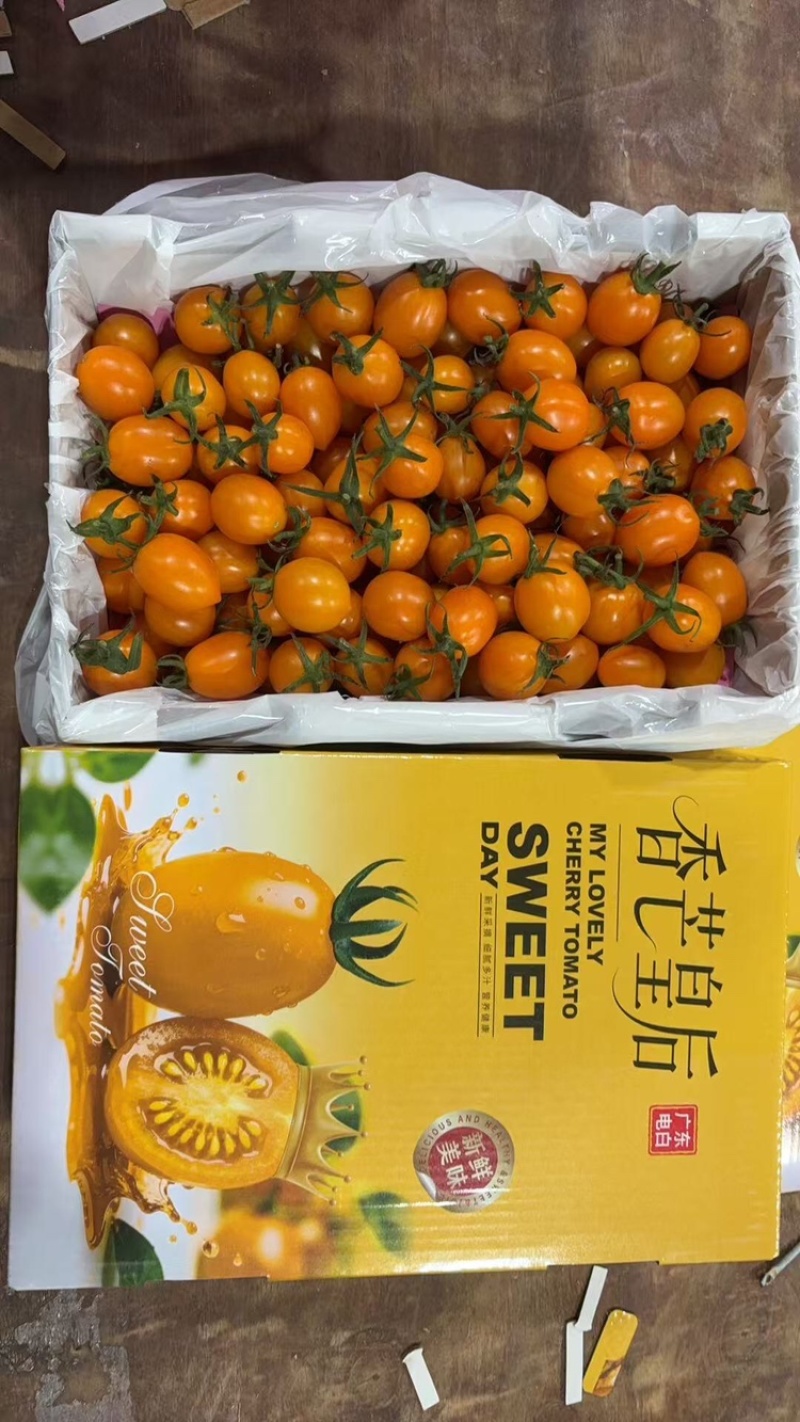 香芒皇后千喜皇冠圣女果产地供应链欢迎团购前来合作共赢