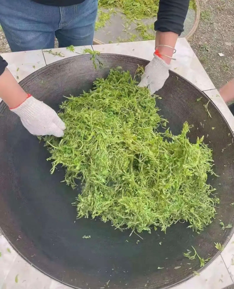 莓茶
