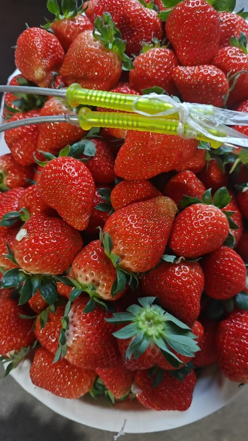 香野草莓大量上市，价格不高