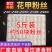 龙口粉丝火锅麻辣烫关东煮鸭血粉丝羊肉泡花甲粉丝