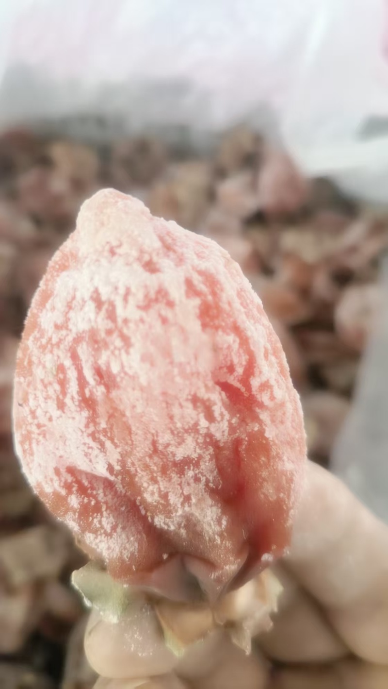 陕西富平柿饼，一手货源，全国发货，诚信经营，量大从优