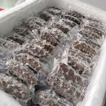 鲜食海参-批发零售，源头捕捞加工生产，贴牌代工，