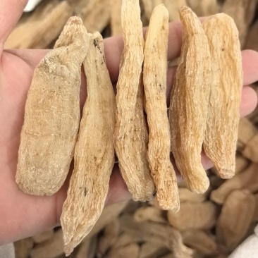 天麻小天麻个现货供应量大从优