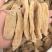 天麻小天麻个现货供应量大从优