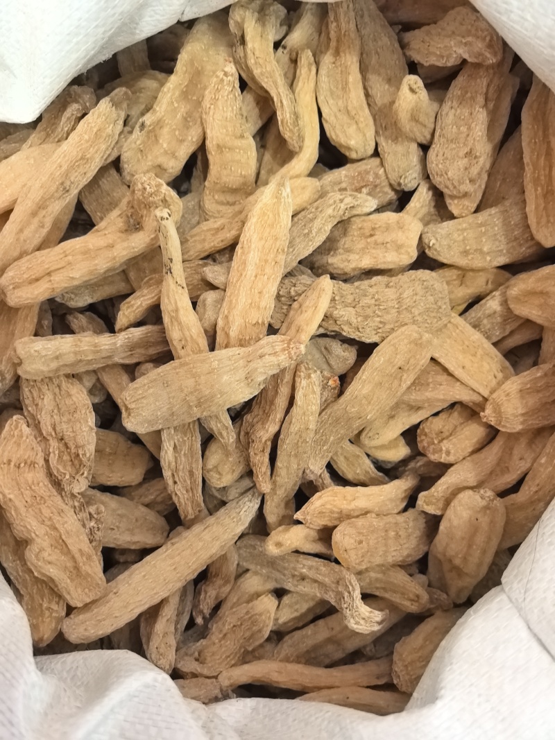 天麻小天麻个现货供应量大从优