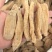 天麻小天麻个现货供应量大从优