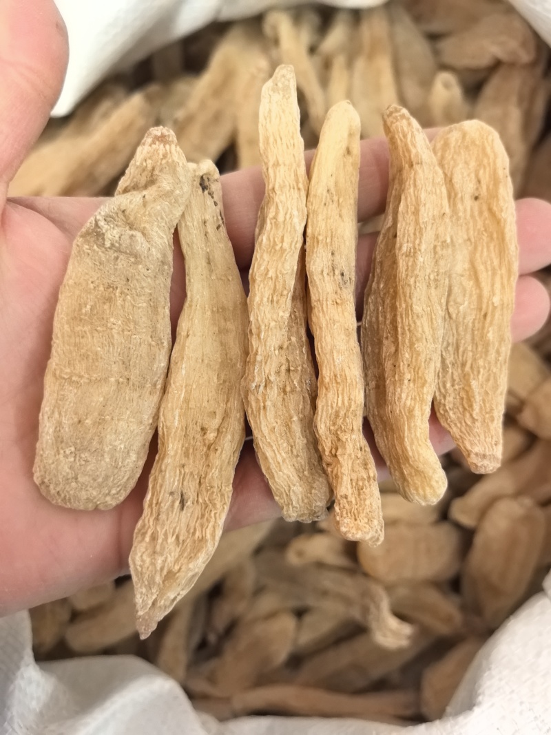 天麻小天麻个现货供应量大从优