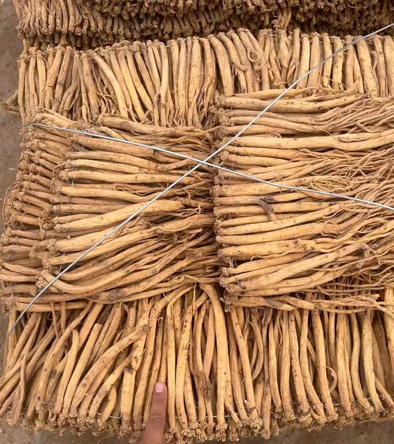 甘肃岷县直发！这条白条党参，农户自种无硫熏