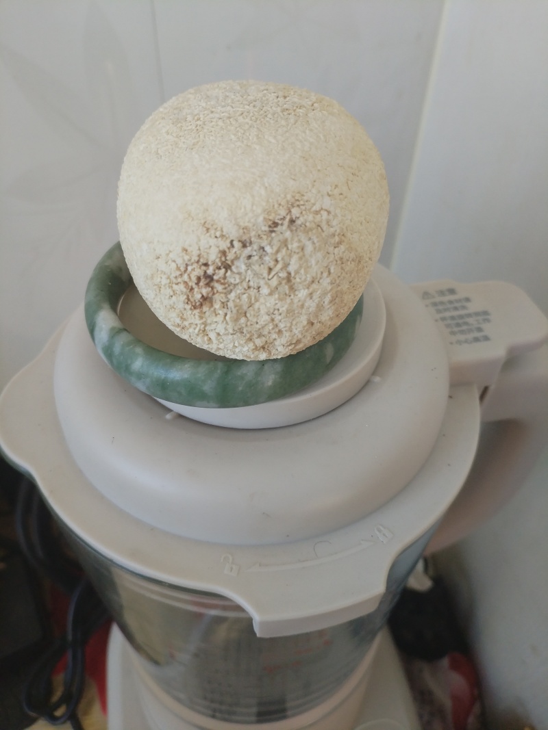 狗宝是自已家的老狗，年头可不少了，10多年了老狗。