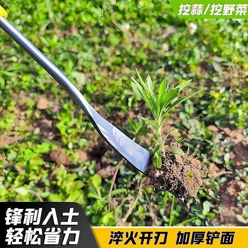 挖野菜神器挖蒜锰钢小铲子挖荠菜园艺铁铲种花挖土牙粉