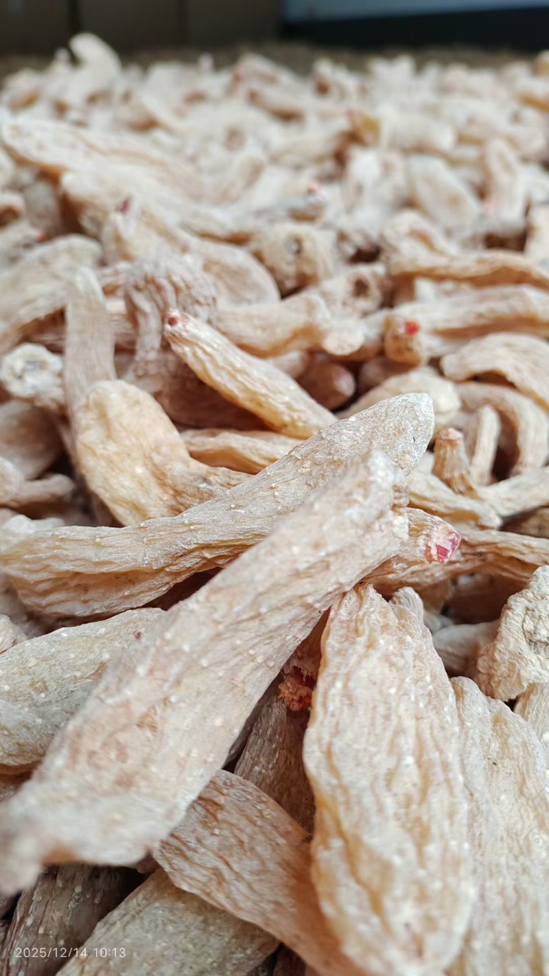 秦岭深山精品干天麻籽精挑细选大小条精品麻籽个头均匀饱满