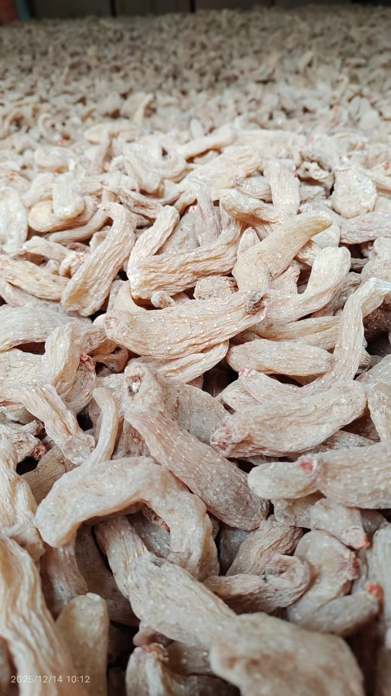 秦岭深山精品干天麻籽精挑细选大小条精品麻籽个头均匀饱满