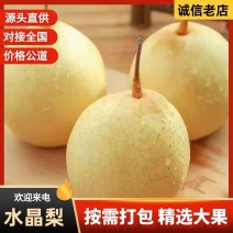 可代发石家庄水晶梨晶莹透亮果肉细腻支持商超/批发