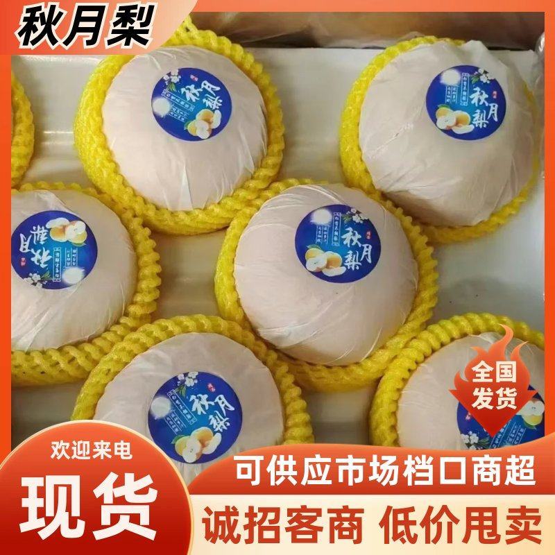 【一件代发】河北秋月梨脆甜无渣支持批发商超欢迎来电