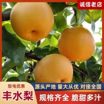 河北石家庄丰水梨大量现货可电商/商超/批发/一件代发