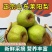 正宗莱阳梨核心产区直供果大脆甜多汁整车起批