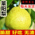 产地精品莱阳梨脆甜爽口果园直发支持批量订购
