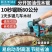 五羊本田油锯四冲程纯汽油油锯伐木锯家用省油砍树机电