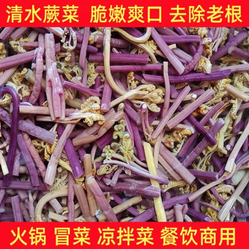 清水蕨菜，凉拌菜食材