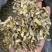 石斛紫皮石斛片铁皮石斛片石斛粉一手货源产地直发质量保证