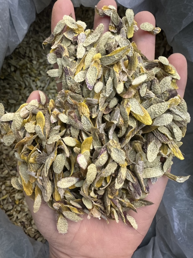 石斛紫皮石斛片铁皮石斛片石斛粉一手货源产地直发质量保证