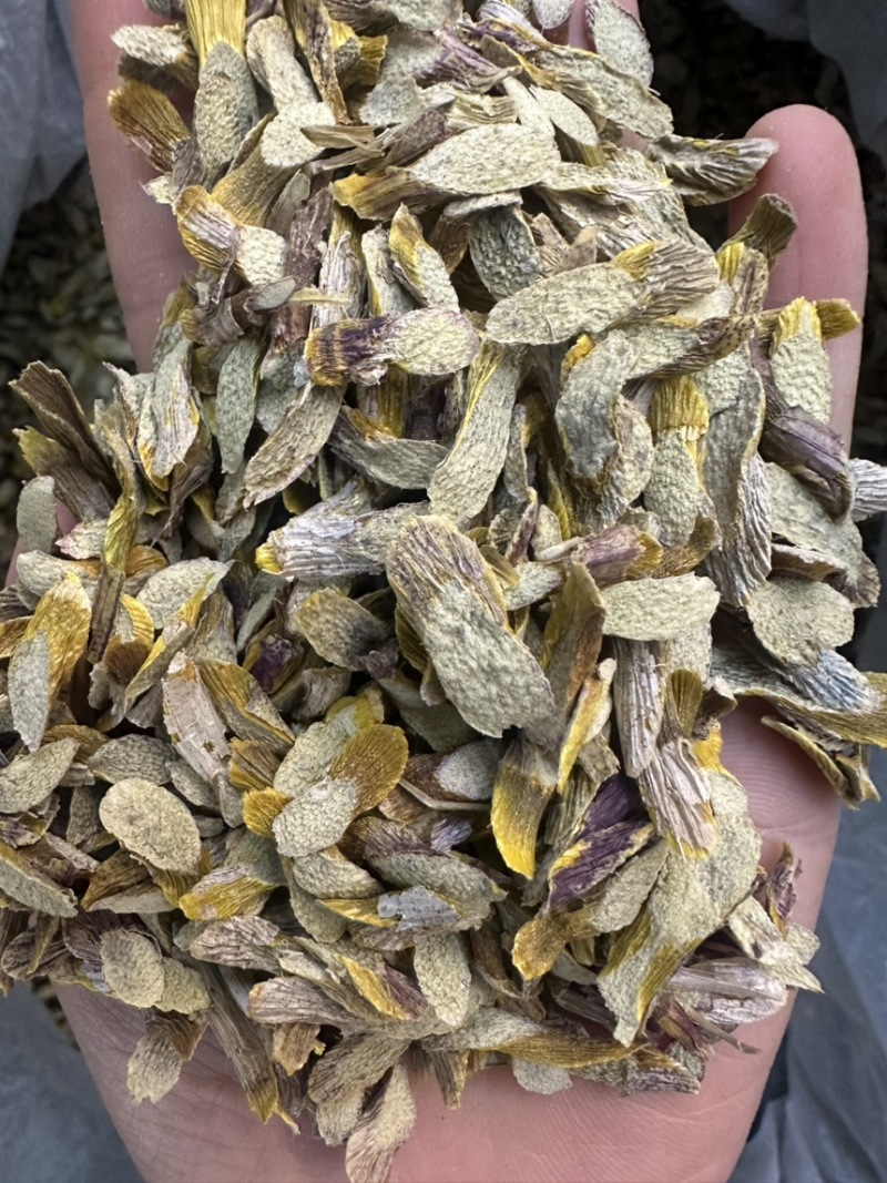 石斛紫皮石斛片铁皮石斛片石斛粉一手货源产地直发质量保证