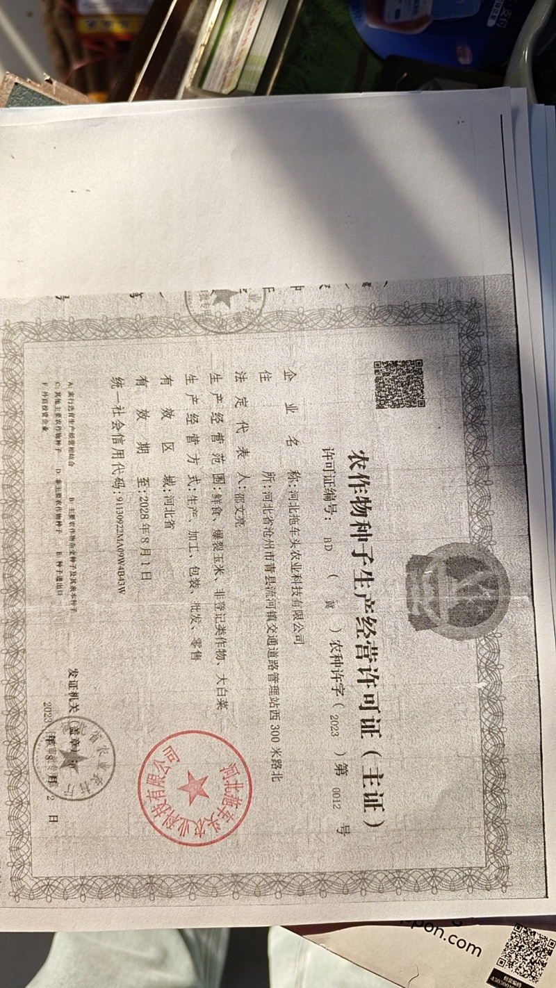 甜糯玉米种子95%包邮多种颜色品种都有国审大棒甜糯