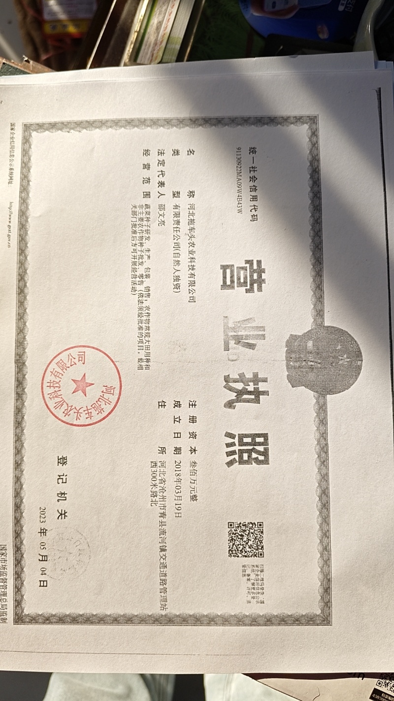 甜糯玉米种子95%包邮多种颜色品种都有国审大棒甜糯