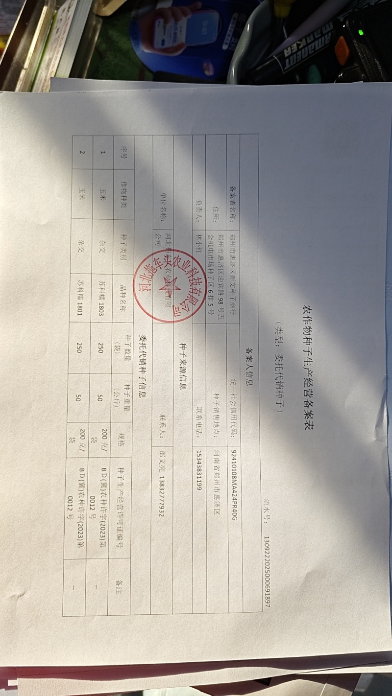 甜糯玉米种子95%包邮多种颜色品种都有国审大棒甜糯