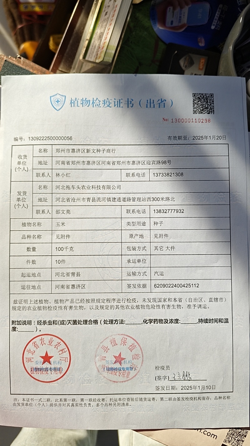 甜糯玉米种子95%包邮多种颜色品种都有国审大棒甜糯