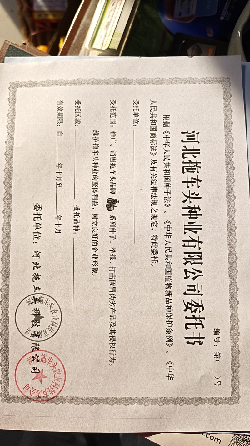 甜糯玉米种子95%包邮多种颜色品种都有国审大棒甜糯