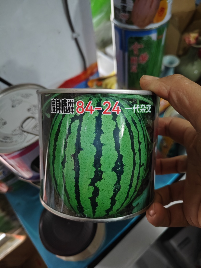 新美都西瓜种子100克/袋不裂瓜全国包邮