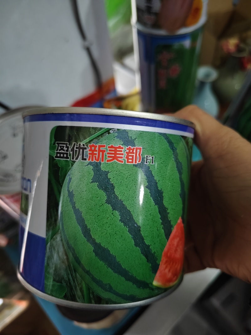 新美都西瓜种子100克/袋不裂瓜全国包邮