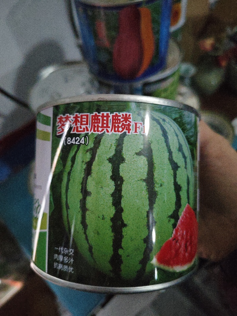 新美都西瓜种子100克/袋不裂瓜全国包邮