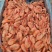 摩西精挑纯头籽80/100和90/120北极虾籽虾元宝虾