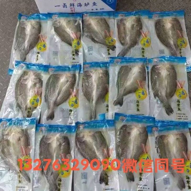 海鲈鱼