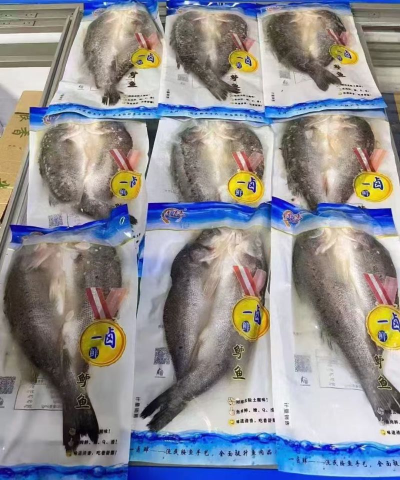 海鲈鱼